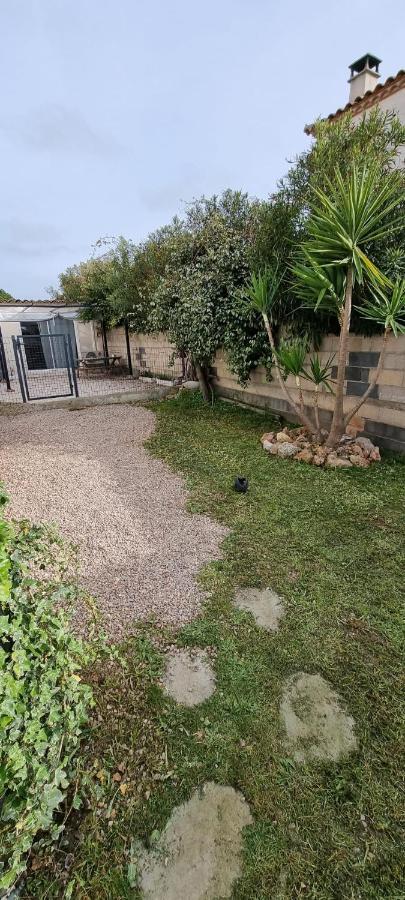 Le Cocon Appartement Balaruc-les-Bains Buitenkant foto